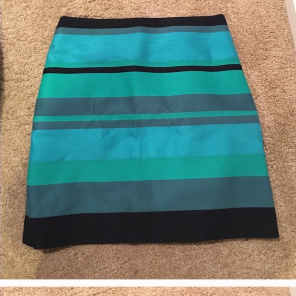 Ann taylor skirt
